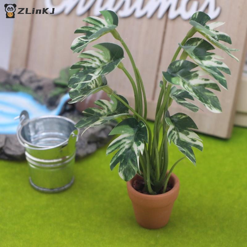 ▶1Pcs 1:12 Dollhouse Simulatio - Sustainable Living Products บทวิจารณ์และราคา