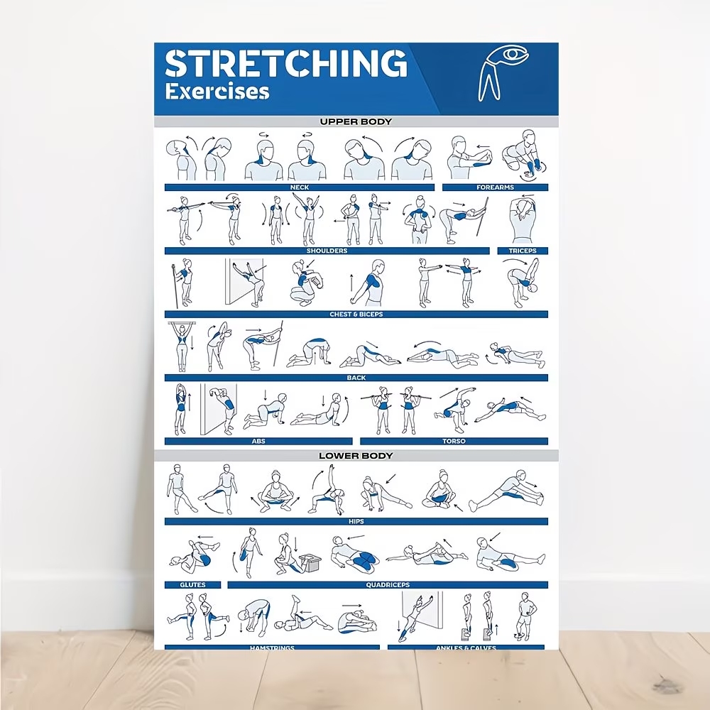 Modern Labeled Full-Body Stret - Sustainable Living Products บทวิจารณ์และราคา