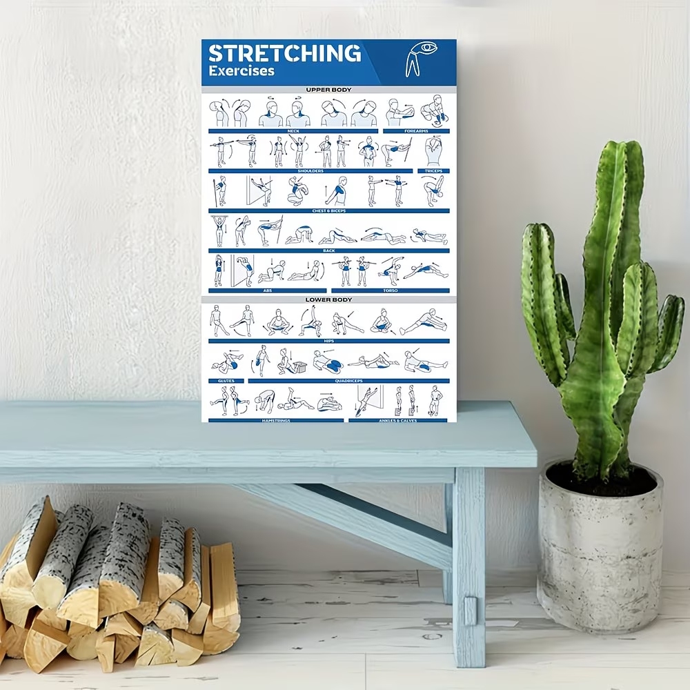 Modern Labeled Full-Body Stret - Sustainable Living Products บทวิจารณ์และราคา