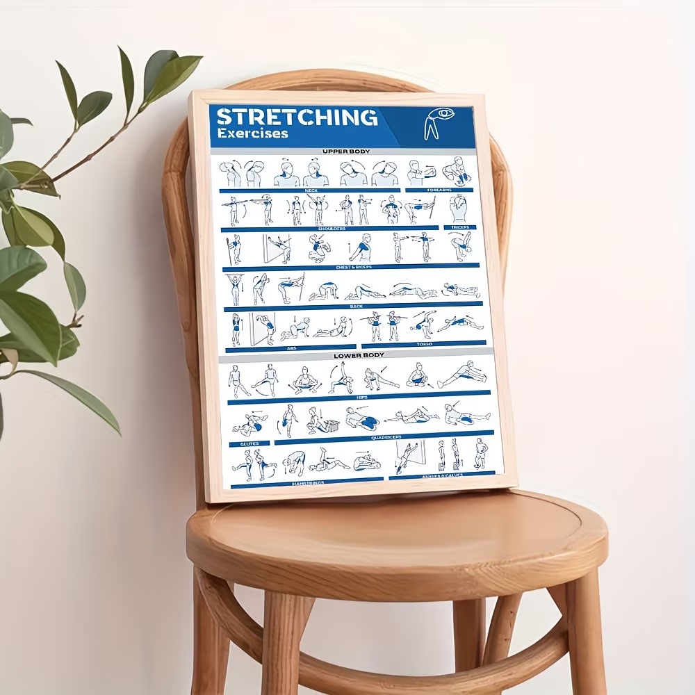 Modern Labeled Full-Body Stret - Sustainable Living Products บทวิจารณ์และราคา